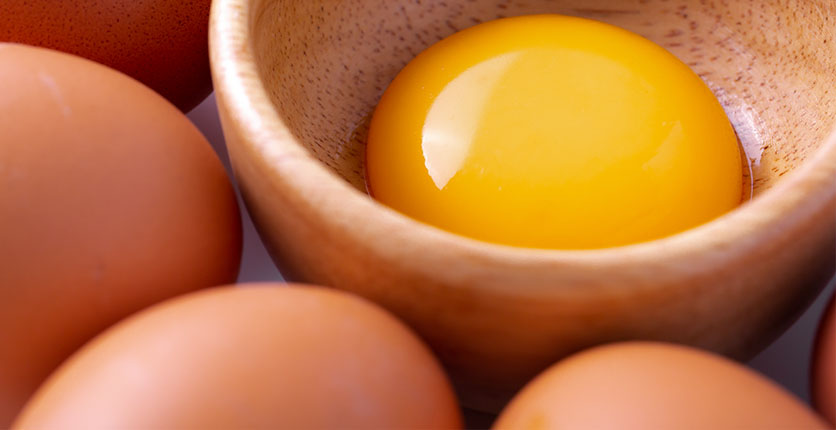 Vitamin B7 egg yolk