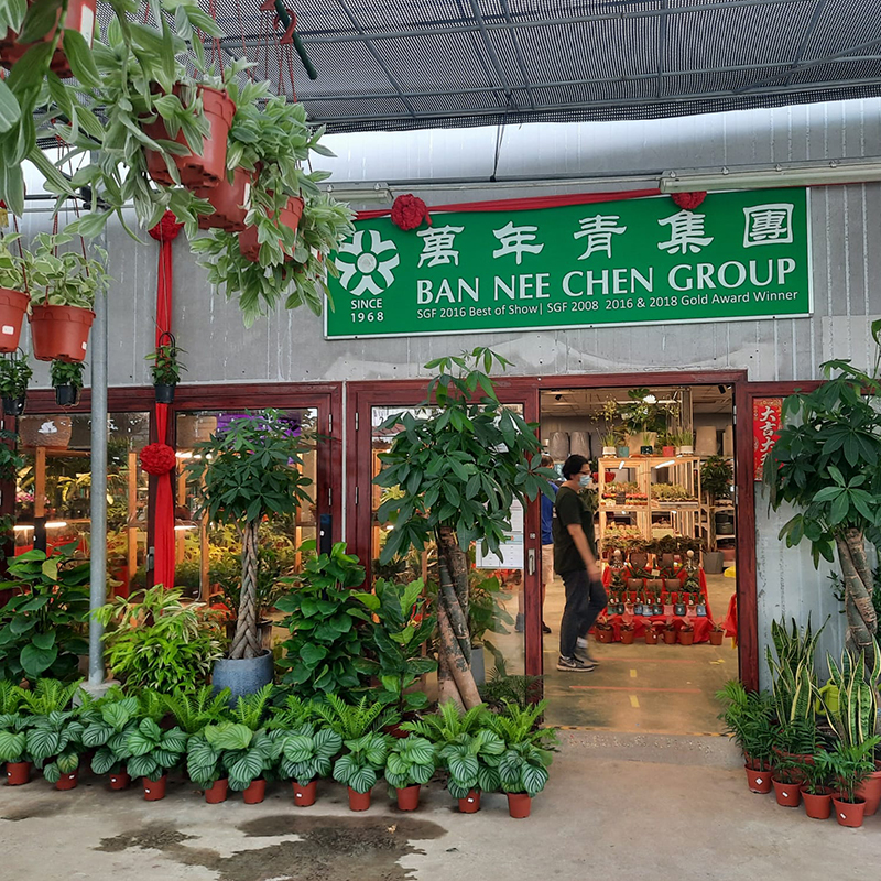 Ban Nee Chen Nursery -10% off all plants and free delivery with min. spend