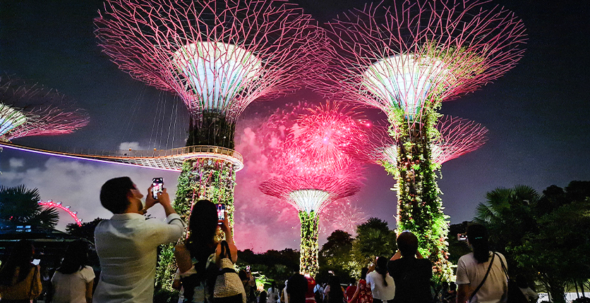 Gardens by the Bay Supertrees fireworks