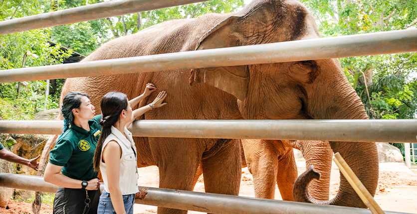 Mandai Wildlife Reserve Parks