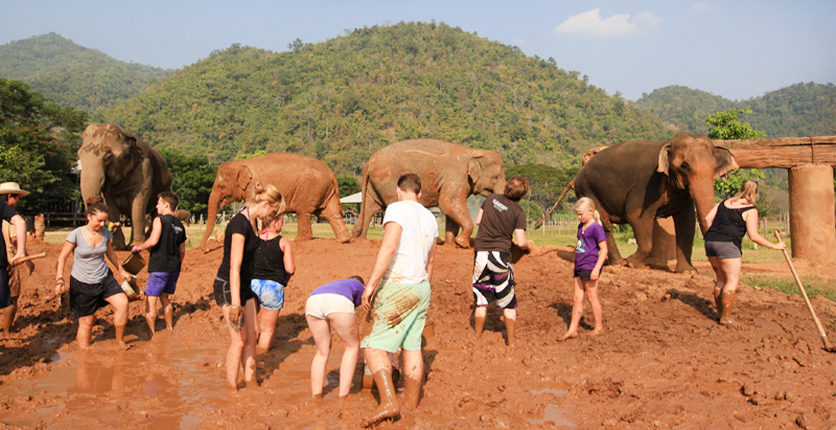 Elephant Nature Park, Thailand 