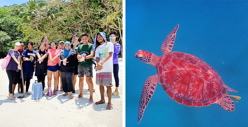 Perhentian Turtle Project (PTP), Malaysia