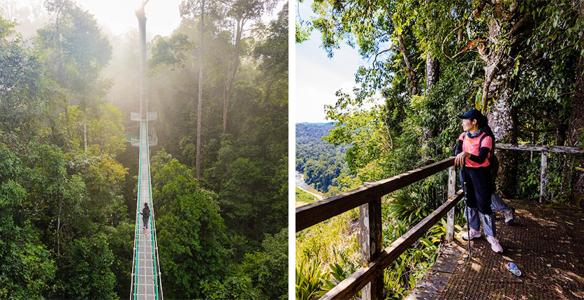 Hiking & ATV rides in Sabah, Malaysia