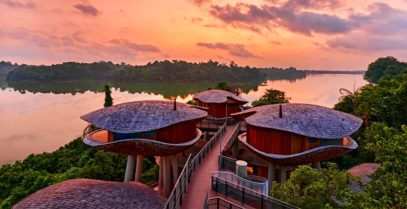 Mandai Rainforest Resort, Singapore