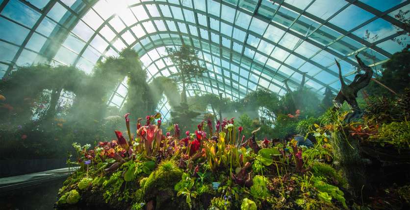 Gardens by the Bay 836 x 430