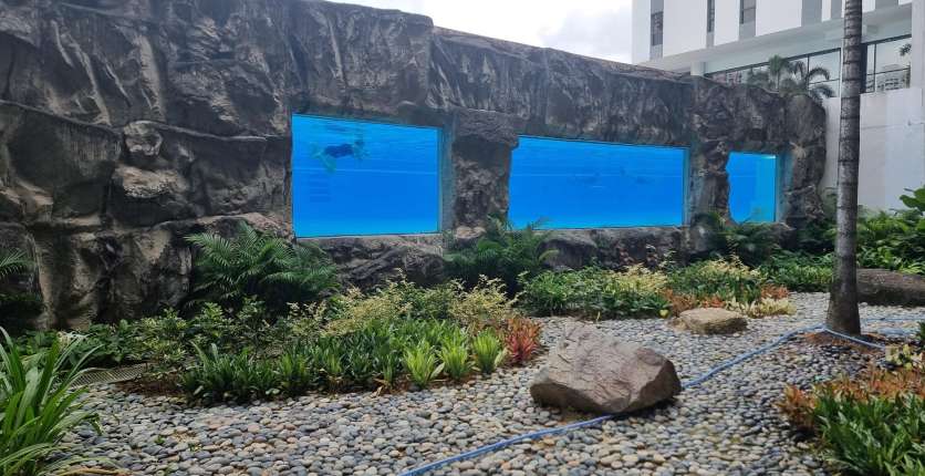 SAFRA Toa Payoh Swimming Pool Viewing Gallery