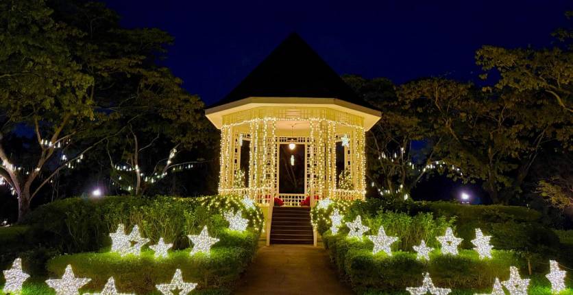 Singapore Botanic Gardens Trees of the World